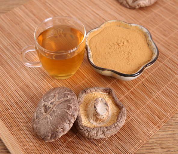 Shiitake Mushroom Extract Powder22TCM Adaptogen Warehouse Pine
